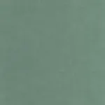 Etamine Vert eucalyptus