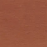 Shinok Orange flamboyant