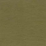 Shinok Matcha