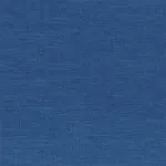 Shinok Bleu Roi