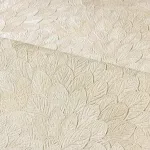 Feijoa Cyprus Feijoa Cyprus