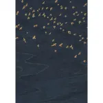 Migration Marine Migration Marine