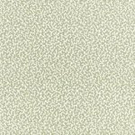 Junie Aloe Junie Aloe