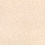 Shiri Wild Rose Shiri Wild Rose