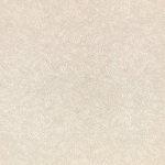 Shiri Mushroom Shiri Mushroom