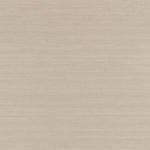 Raya Silk Embossed Husk