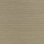 Raya Silk Embossed Caper Raya Silk Embossed Caper