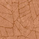 Fragment Tangerine Fragment Tangerine