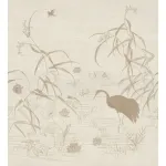 Nuido 70343466 Nuido 70343466