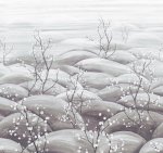 Sakura Silver DGTRA5033-300