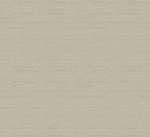 Mori Elm RIC008 Mori Elm RIC008