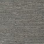 Cadie Delicioso HPCSIS0006