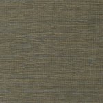 Cadie Lime HPCSIS0009 Cadie Lime HPCSIS0009