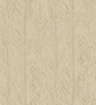 Itaya 75401B Coquille