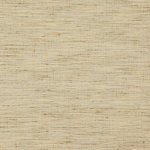 Driftwood Warm Beige