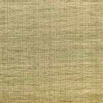 Capital Two tone taupe and Green