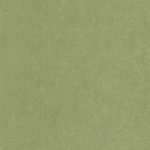 Florescence Kiosque Vert cactus