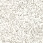 Esquisse Noir gravure