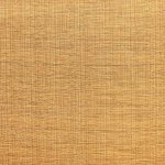 Capital Two tone gold