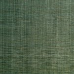 Capital Two tone basil green