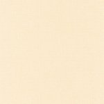 Linen Uni Orange clair