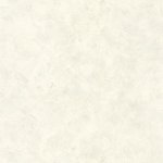 Patine Uni Vert celadon