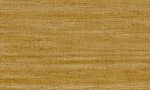 Lignes Ochre