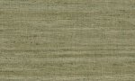 Lignes Olive