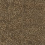 Ajoura Walnut