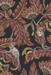 Bush Baby Karmozijnrood & Goudsbloem op Houtskool