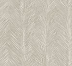 Talamanca 11041 Talamanca 11041