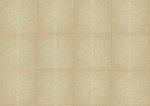 Shagreen 85520 Sand