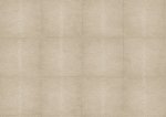 Shagreen 85525 Light Greige