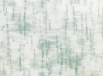 Betula Alpien