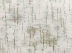 Betula Dauw