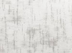 Betula Ijs