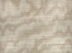 Caractère Taupe