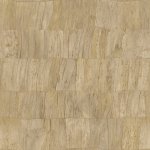 Capas 34307