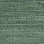 Zostera &Eacute;meraude