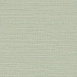 Zostera Kanton Amande