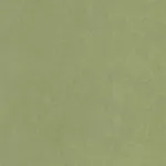 Cotton Touch Vert cactus