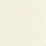 Myosotis Ficelle / blanc