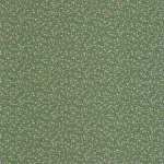 Myosotis Vert mousse