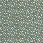 Darwin Tulip Vert anglais