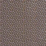 Darwin Tulip Noir / bordeaux