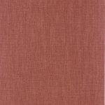 Shinok Framboise