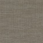 Shinok Gris taupe