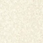 Mur Antique Blanc craie