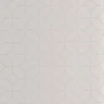 Precision Gris plume