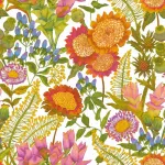 Les Baux de Provence_M Multico